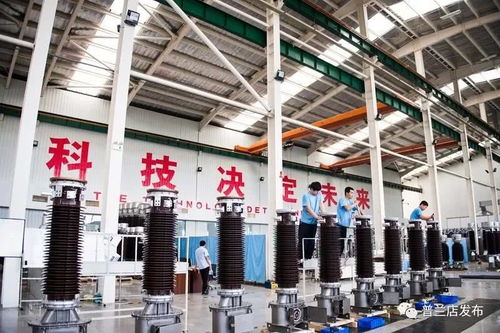 这就是普兰店 我们守护的家园——工业发展篇 项目投资